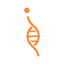 Reveal Mobile